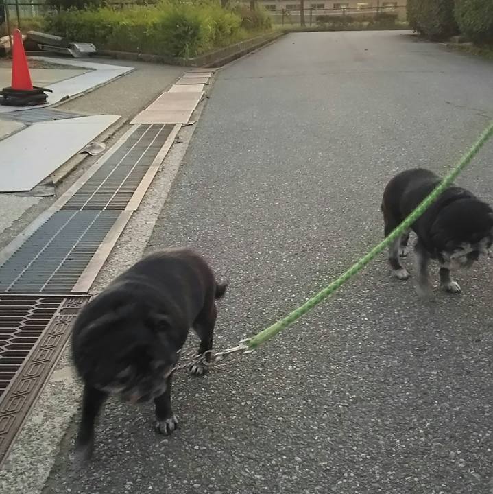 248f011c 2082 4274 920c 0d48cd98f776