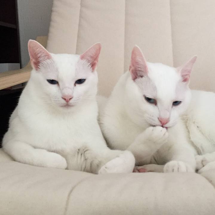 248fa74a 43f4 42be 86cb 549a2a023024