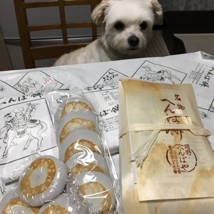 2490421d 5893 4211 8b28 c836d50b8f3f