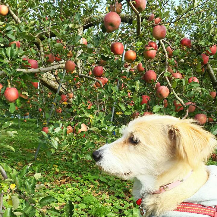 2490486f 9399 42c6 9e9f d7ad189abdf3