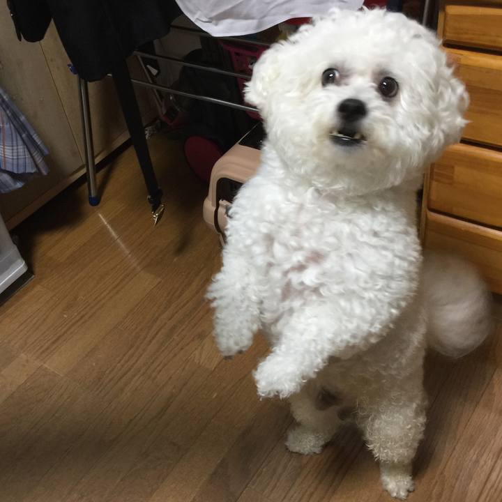 249094ea 4096 469f a7c9 9690a2f469f1