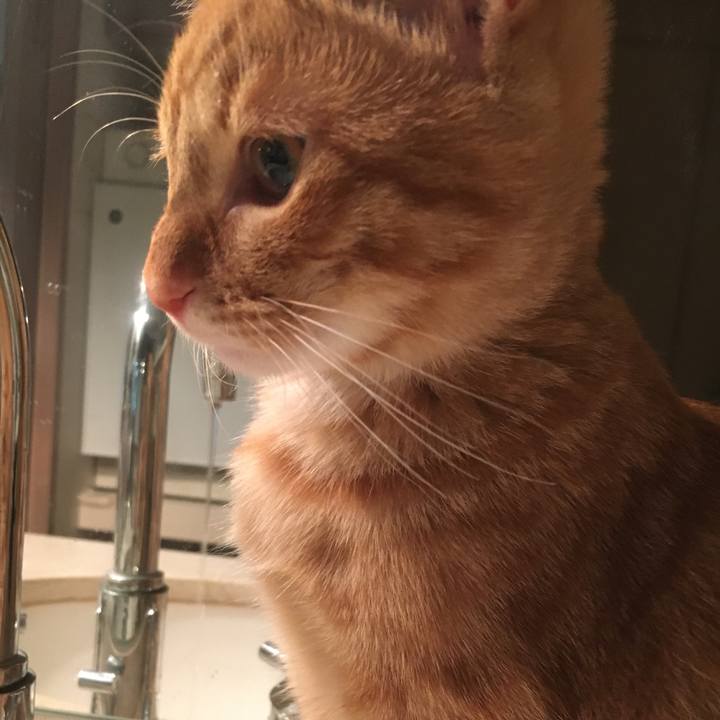 2490b8f8 bb14 46de 9419 57ed74beee2e