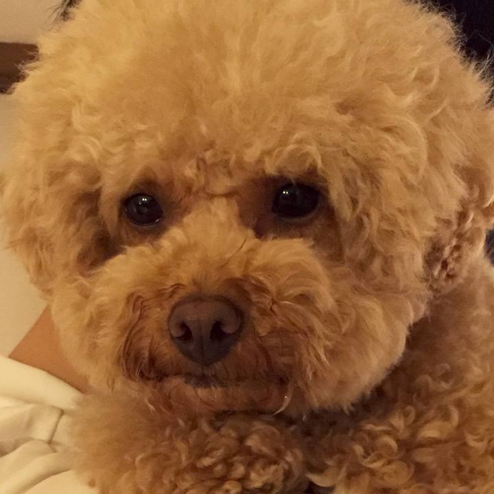 2490db69 b2a6 4a62 9cad 3865f70cb994