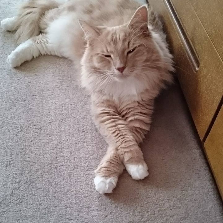 24911e3b 9509 4c5f 8cc8 5b42b22d09a2