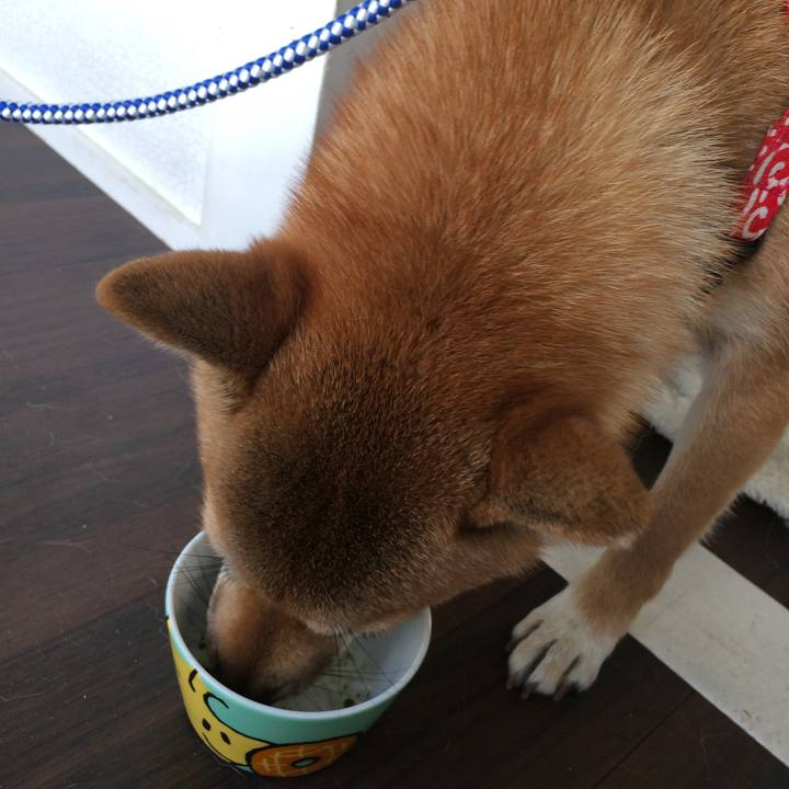 24917b27 62a4 40a6 8e8f bb444f5b182c