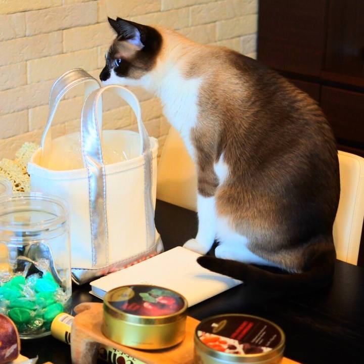 249180ff 908b 44ff a137 0ef3084c87c3