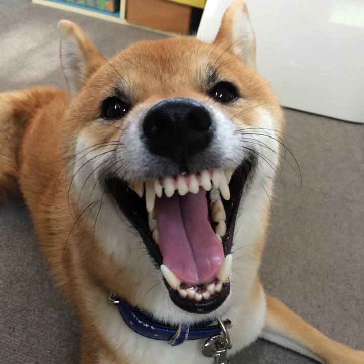 249197c6 b596 4ad0 b38b 1e9fd0ca6fd1