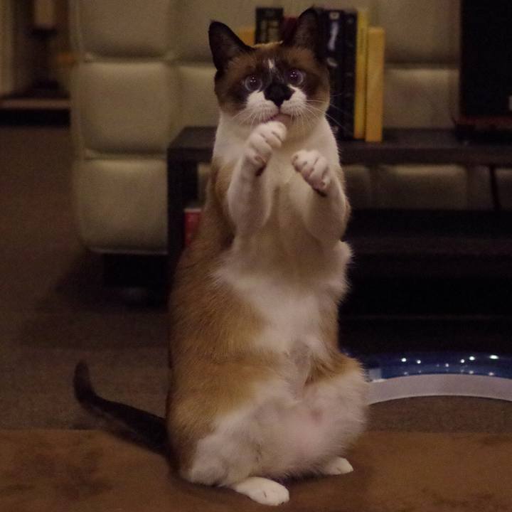 2491eb5f fd88 493c 8431 516e4f58a581