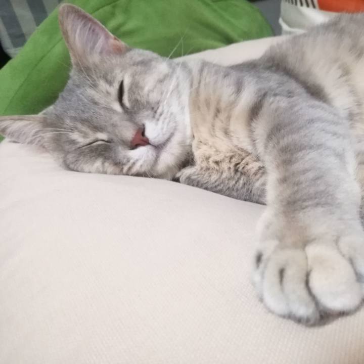 24920445 8a55 4ca5 bf45 207ebceb2215