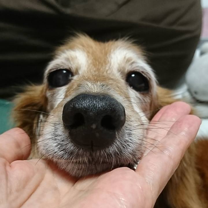 24921651 61f8 4175 9a4f af1de44f6026