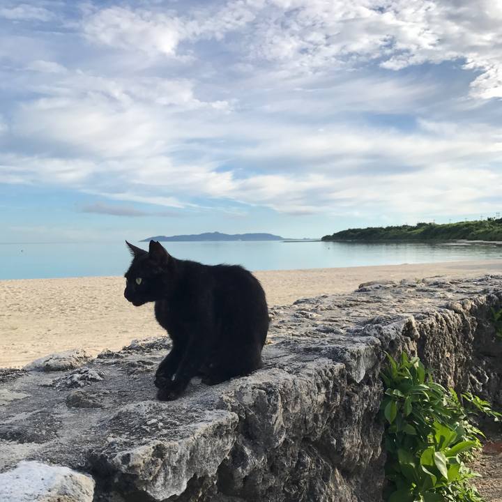 24922deb 4043 4e3d a8d4 244d2e7464e4