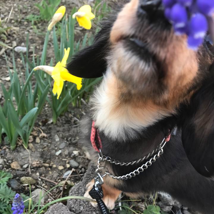 24924d76 580a 4fc5 9f63 74ab79545661