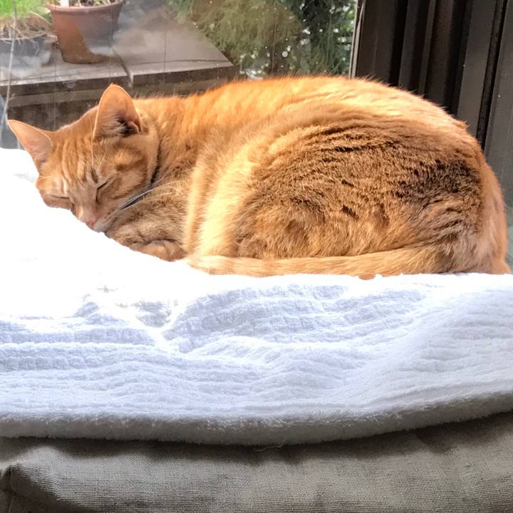 24925d85 7172 4459 860d 746e6d14c19c