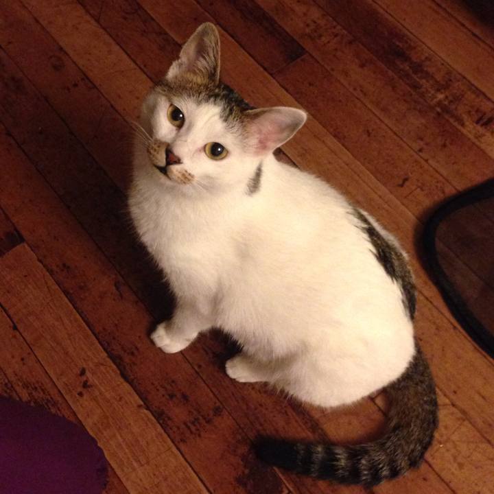 249331d8 c236 45c6 aa0d 6d9a4a6baeb9