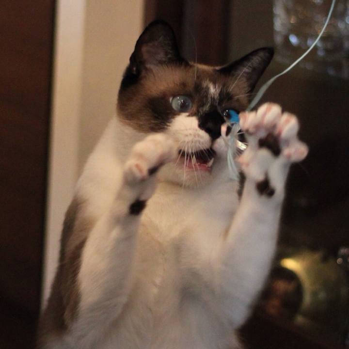 24933dd1 ea0c 4bce 8fb9 b60858c8ab32