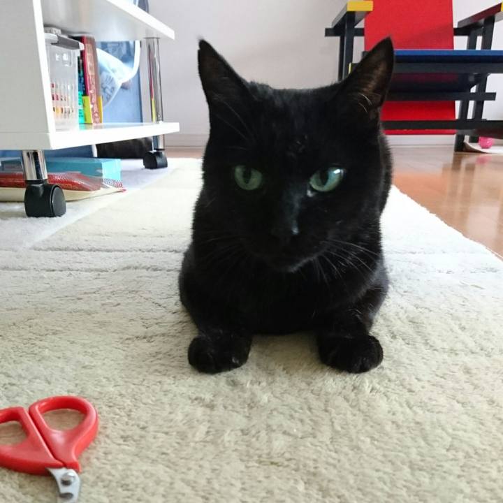 24939d82 cda6 467f 956f 2af3382753dd