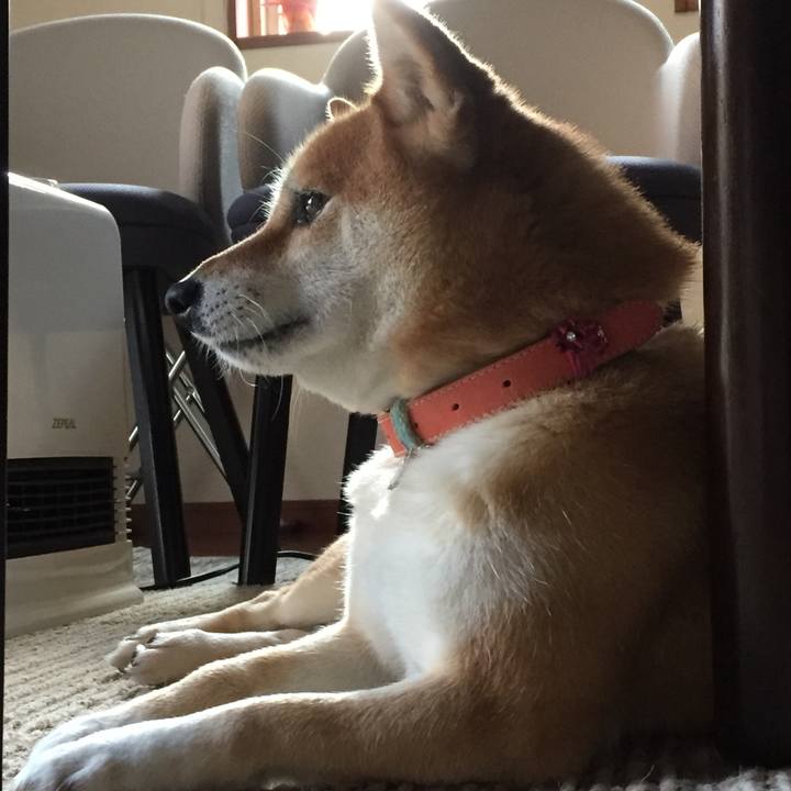 2493d226 e397 44ac 8122 d2b7b474c97c