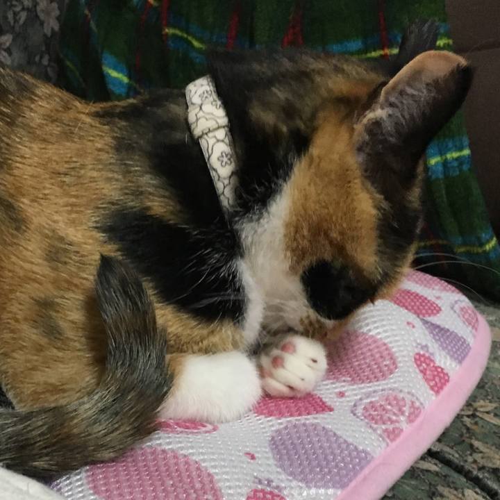 2494bdff f919 4e49 a3b6 83821f2770b3