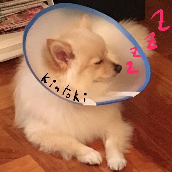 2494f23d bed8 4033 8401 613526b91652