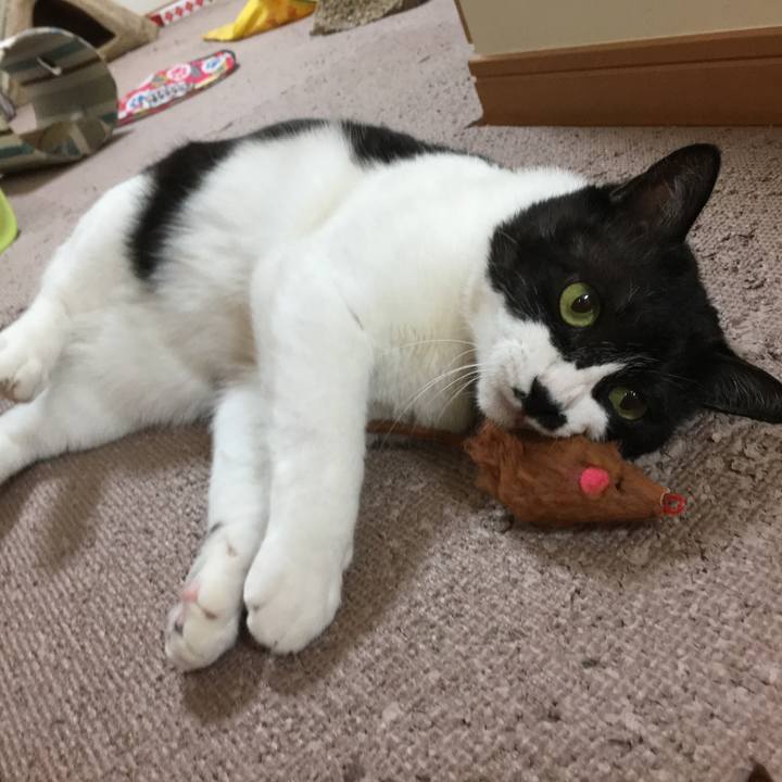 2494f2a4 ac25 4669 b605 c62c8dbd3561