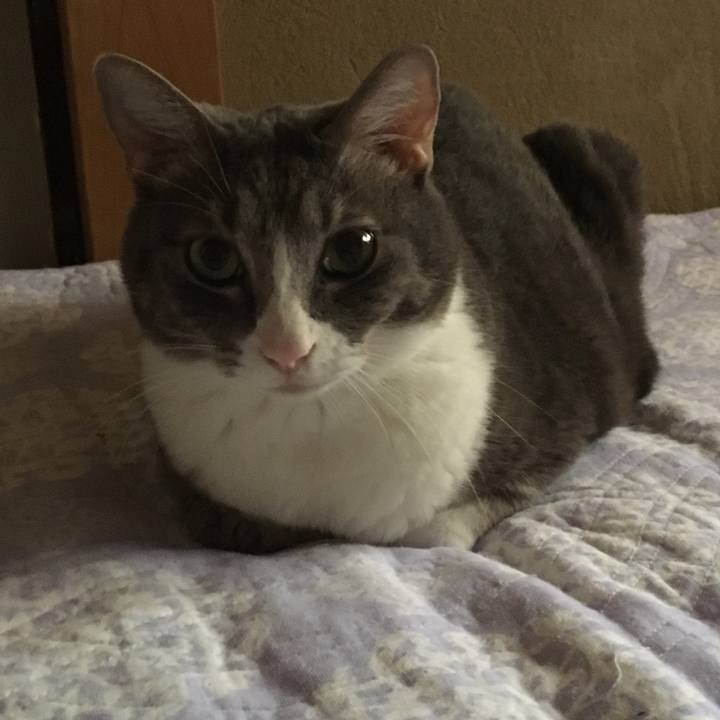 24954446 8a33 4c5a bd7a 912733b370be