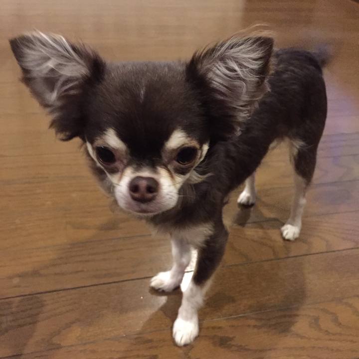 2495aea4 4f3b 4a3e 857f 61a03d51ebe1