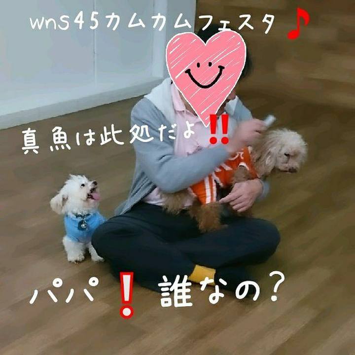 24962bca a846 4996 9628 c360faff2be6