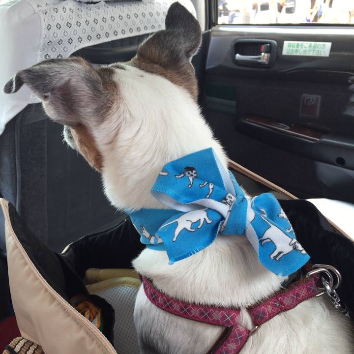 24968c26 c2b5 41db 847a 50d339acb272