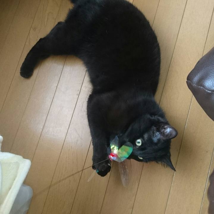 2496c7bd a2bd 4541 8d49 a8de24813b00