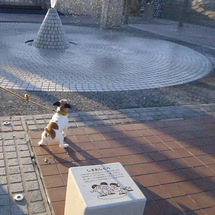 2496e4dc 1b38 47c2 9ad0 3f257663886a