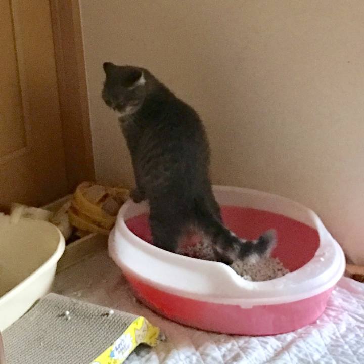 249720b5 cfa5 4b0c bb17 1afa80e4c141