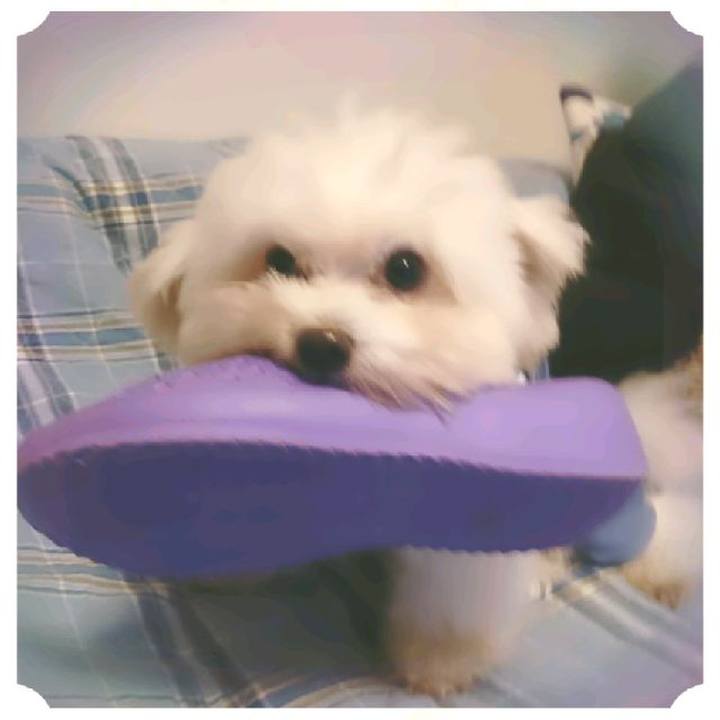 2497c3f7 c08c 4576 a496 a9de2ff6b06b