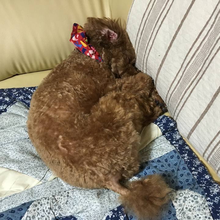 2497e04f 7e8b 499b b8ad e5ceac8c0c52