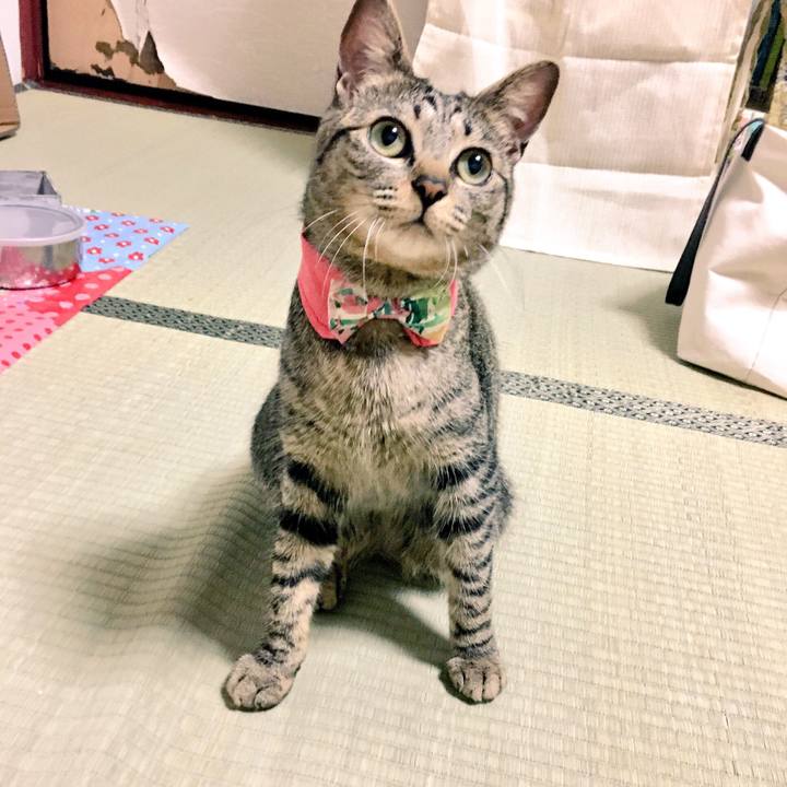 2497e9be 8d64 4dd9 b701 dd5e99dca0ba