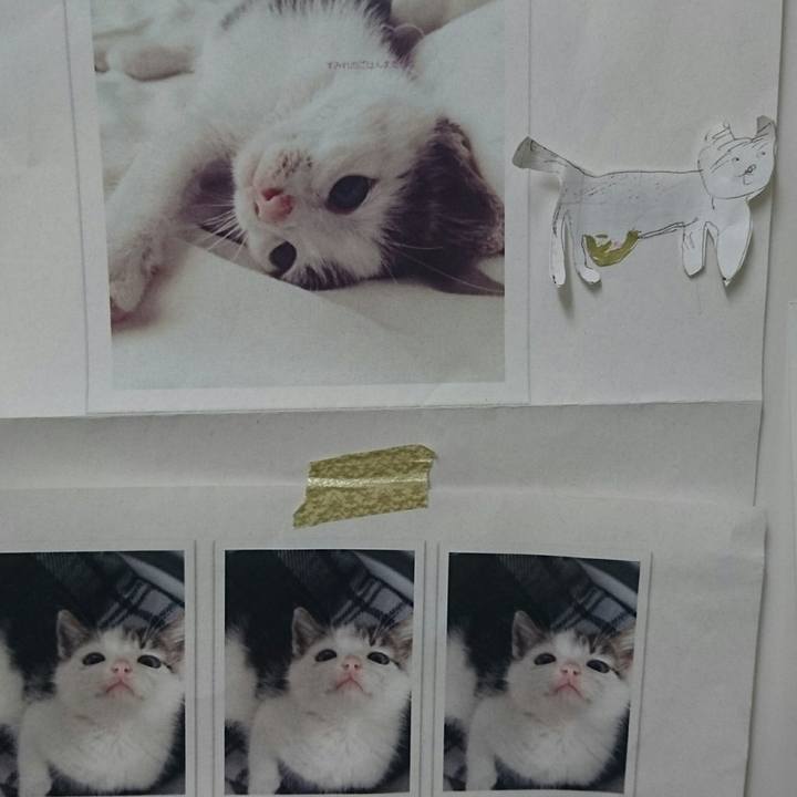 24983a4c be7c 4432 92de 8d4b1067f291