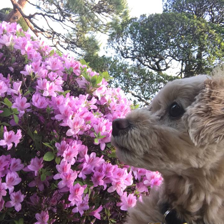 24983dba d380 4423 8b64 dc2f45ea9706