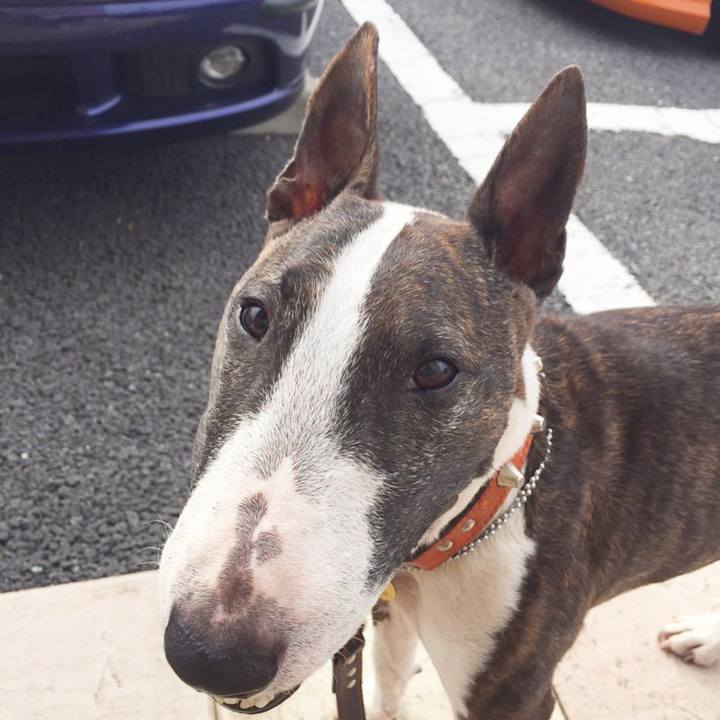 2498ad63 03ce 4b5c ba46 06f0bf2e7054