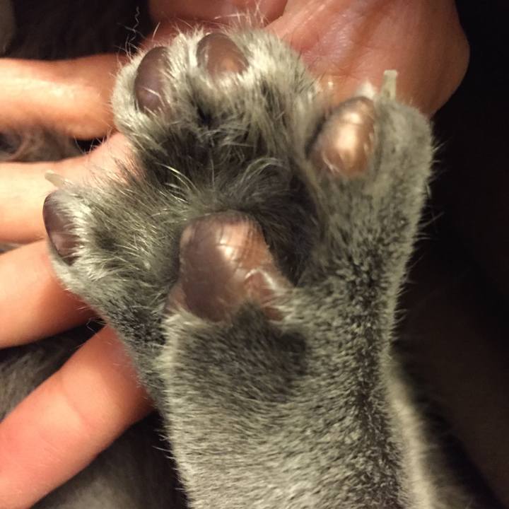 2499278c 91c0 4162 a0bb 626b82689226