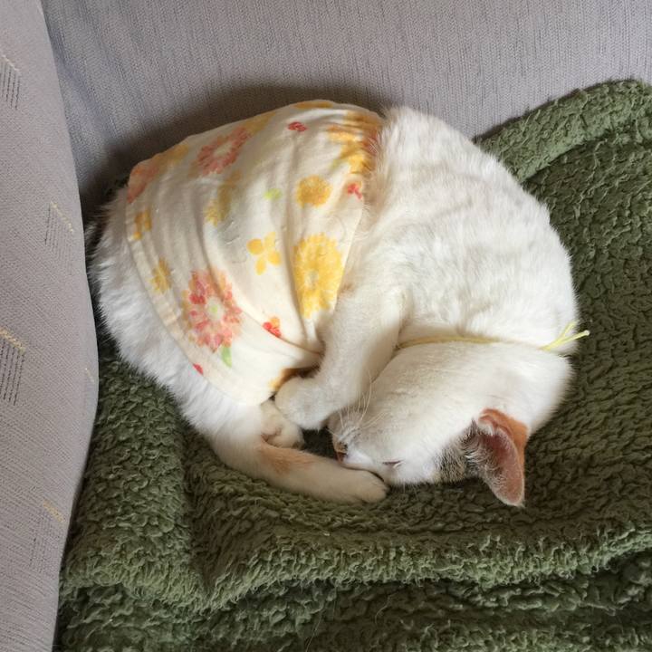 24997820 d1f6 4ccb a09b 7da1b898d9f8