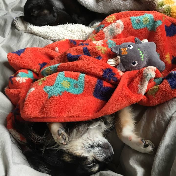 2499b6a6 888a 479b 8611 cdd877a1260a