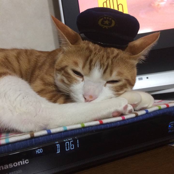 2499de0c 9e1b 42bb bdb3 ca2aecdc69bb