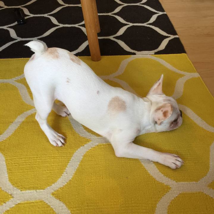 249a72ad c215 48da bf7c 3e40ff35de75