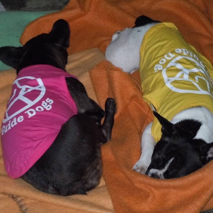 249aa434 b41d 4181 b60e 55e91f633187