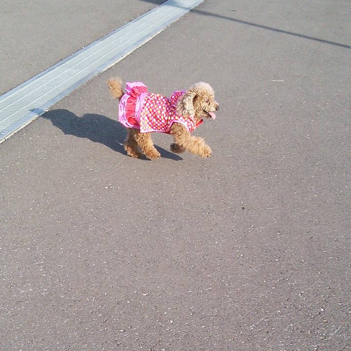 249ab47a f6b6 471e b7ca 92e191507591