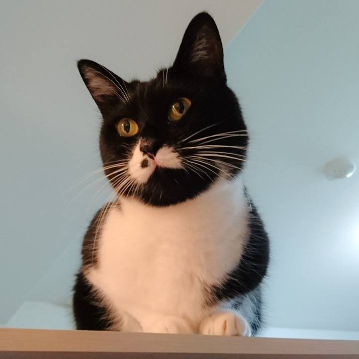 249aee4d 0fbb 466a 8dda e5c0d7209c2b