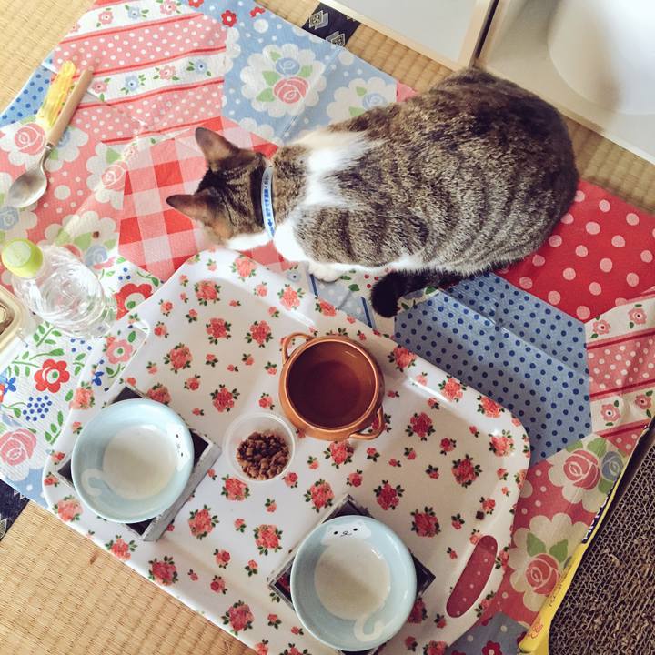 249b0338 3aa3 4365 a4a3 19bd34b9a467