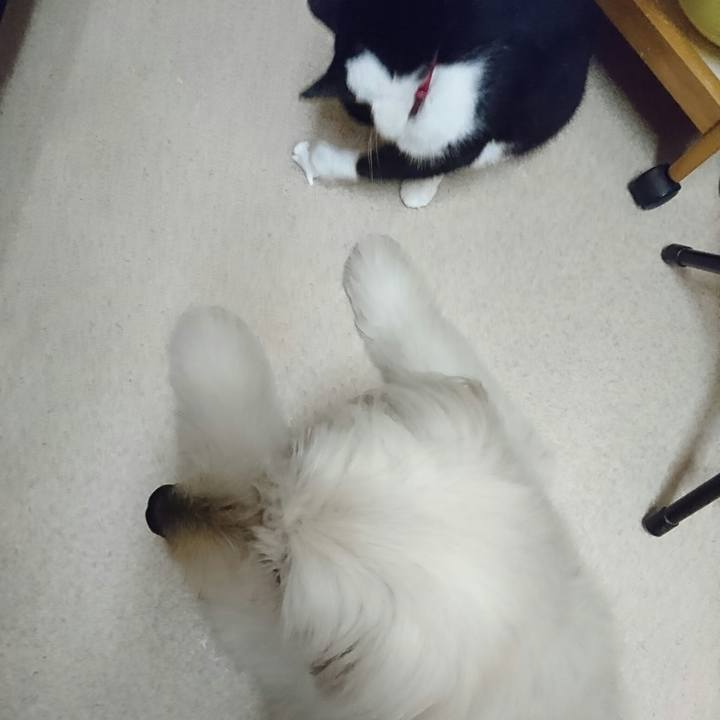 249b173f 7f51 4ce1 b01a 371371b3d1d9