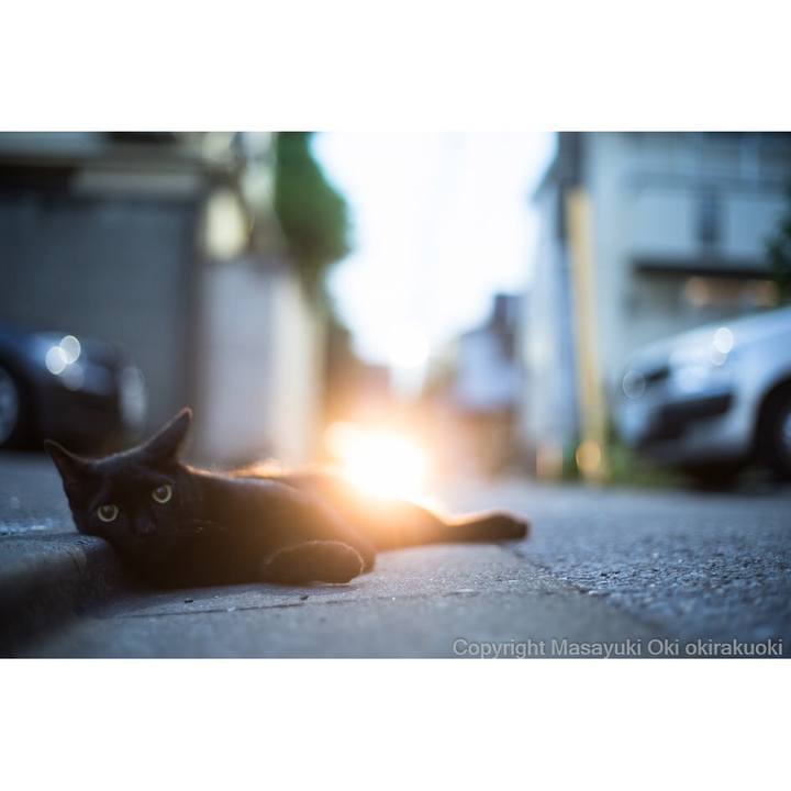 249b9894 5e46 44f4 8ba3 5ddc0a856022