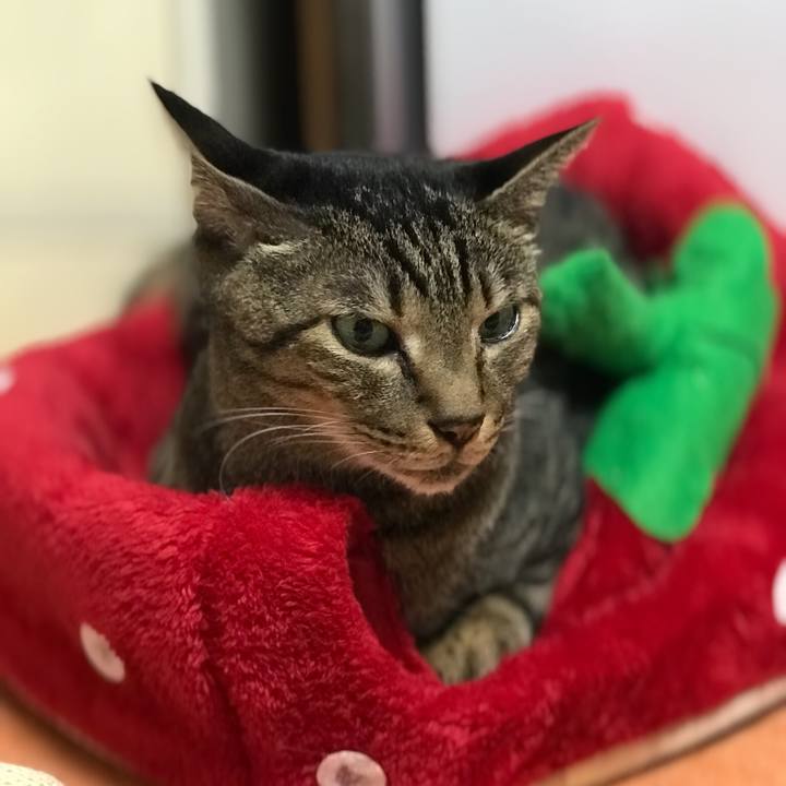 249b9ab2 7de9 4bda 878a 0b59ef5a9bbd