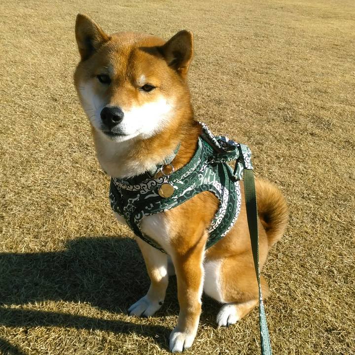 249bda23 8f50 42b0 928d 45aca64eab95